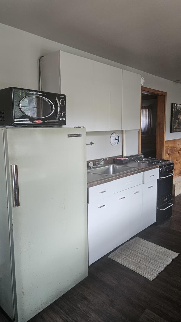 cabin 2 kitchen